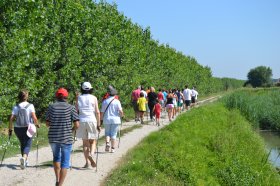 CORSO BASE NORDIC WALKING A QURTESANA - dimensione nordic walking asd